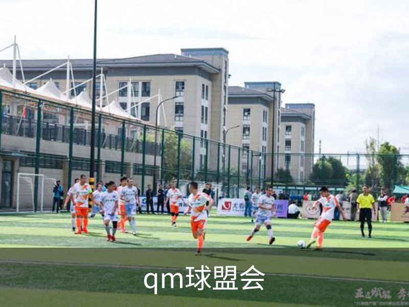 了解qm球盟会